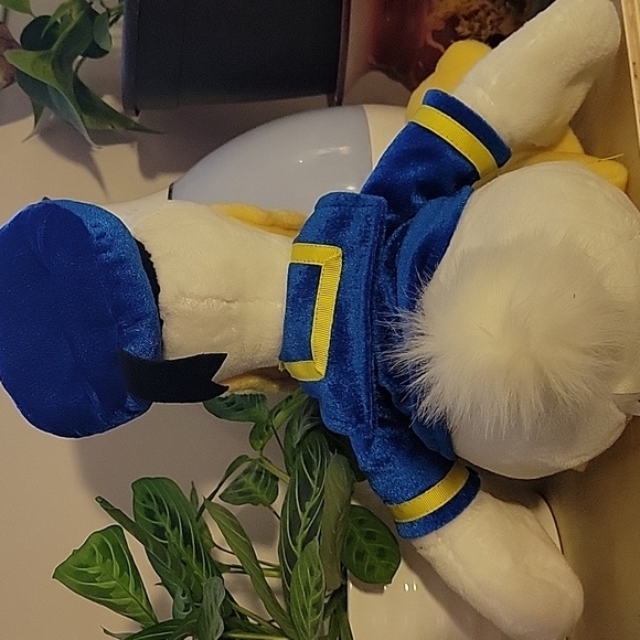 Donald duck - Picture 3 of 3